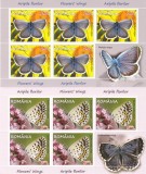 ARIPILE FLORILOR,FLUTURI - 2016 - MINICOLI ,Lp.2100c,MNH., Fauna, Nestampilat