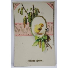 FELICITARE DE PASTE , CU PUI DE GAINA IN MEDALION , ORNATA SI EMBOSATA , 1911