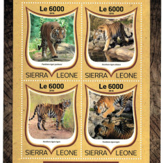 SIERRA LEONE 2016 - Tigri/ set complet MNH-colita+bloc