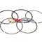 Segmenti 65.5 mm ATV 200 250 cm3