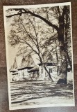 QW25 O - Carte postala - tematica turism - vedere - Oradea 49