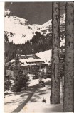 CPIB 22707 - CARTE POSTALA - MUNTII BUCEGI. CABANA &quot;PESTERA&quot;, RPR, Circulata, Fotografie