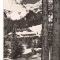 CPIB 22707 - CARTE POSTALA - MUNTII BUCEGI. CABANA &quot;PESTERA&quot;, RPR