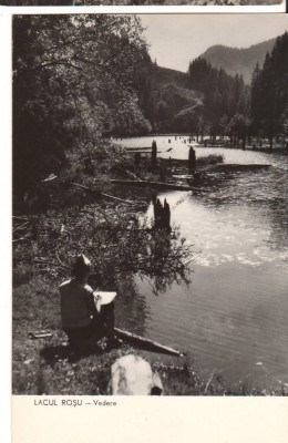 CPIB 22759 - CARTE POSTALA - LACUL ROSU, VEDERE, RPR, NECIRCULATA foto