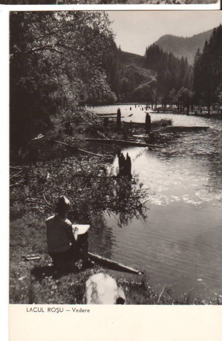 CPIB 22759 - CARTE POSTALA - LACUL ROSU, VEDERE, RPR, NECIRCULATA