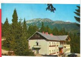 CPIB 16041 CARTE POSTALA - SINAIA. CABANA &quot;CUIBUL DORULUI, Circulata, Fotografie