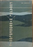 GH. COSTACHE - FORAJUL HIDROGEOLOGIC - 1963