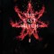 The Last Witch: Volume One