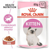 Cumpara ieftin Royal Canin Kitten hrana umeda pisica (in sos), 12x85 g