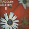 Tangouri Celebre II