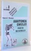 ANATOMIA OMULUI, PERETII TRUNCHIULUI de VIOREL RANGA