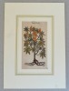 John Gerard &quot;Ricinus&quot; xilogravura 1597, Flori, Cerneala, Altul