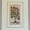 John Gerard &quot;Ricinus&quot; xilogravura 1597