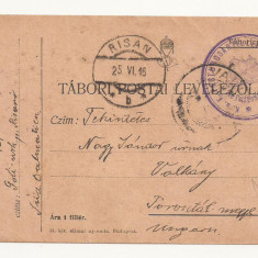 D2 Carte Postala Militara k.u.k. Imperiul Austro-Ungar ,1916 Reg Torontal