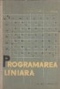 Programarea liniara
