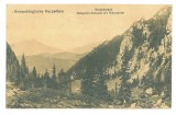 2672 - BUCEGI Mountain, Sibiu, Romania - old postcard - unused - 1918