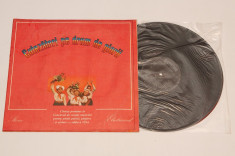 Cutezatori pe drum de glorii - disc vinil ( vinyl , LP ) NOU foto