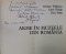 Foto  - 2