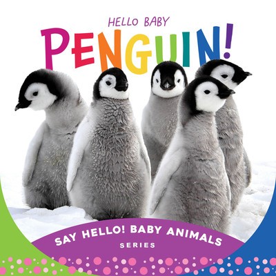 Hello Baby Penguin! foto