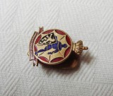 Cumpara ieftin Insigna veche regalista Impavidum Ferient Ruinae - Politie Belgia