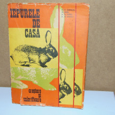 IEPURELE DE CASA - CRESTERE SI VALORIFICARE ANUL 1974