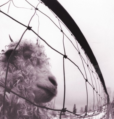 Pearl Jam vs. LP Edition remastered (vinyl) foto