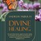 Divine Healing