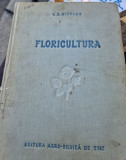 G. E. Kiselev - Floricultura