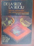 De la silex la siliciu-Enrico Carita, Nicoleta Cataghi