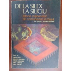 De la silex la siliciu-Enrico Carita, Nicoleta Cataghi