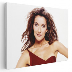 poster Tablou Celine Dion cantareata 2265 Tablou canvas pe panza CU RAMA 50x70 cm
