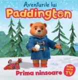 Aventurile lui Paddington: Prima ninsoare - Paperback - Michael Bond - Vlad și Cartea cu Genius