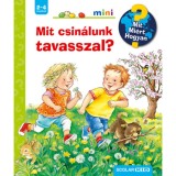 Mit csin&aacute;lunk tavasszal? - Mit? Mi&eacute;rt? Hogyan? - Andrea Erne