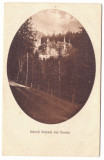 3462 - SINAIA, Peles Castle, Romania - old postcard - unused