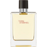 HERM&Egrave;S Terre d&rsquo;Herm&egrave;s Eau de Toilette pentru bărbați 100 ml