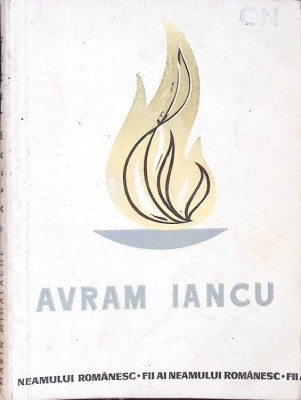 AVRAM IANCU-MARIN MIHALACHE-268188 foto