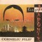 Bun Gasit, Japonie! - Corneliu Filip