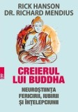 Creierul lui Buddha, 2017