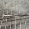 Bieleta de direcție dreapta VW PASSAT Variant B7 365 2012 | 10052100