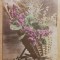 D11 A 70 - Felicitare de colectie - circulata la Bucuresti la 1904