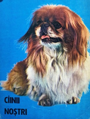Cainii nostri - Cainii nostri - Buletin documentar (Editia: 1984) foto