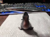 Foca vintage cu pix