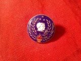 Insigna veche Cercetasi Irak (probabil) , metal si email , d= 1,8cm