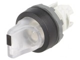 Comutator Rotativ 22mm Transparent IP66