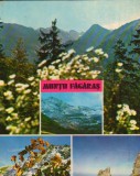 CPI B13958 CARTE POSTALA - MUNTII FAGARAS, Circulata, Fotografie