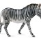 Figurina Zebra Grevy XL Collecta