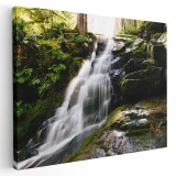 Tablou peisaj cascada in padure Tablou canvas pe panza CU RAMA 30x40 cm