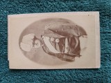 Fotografie , anii 1870 ,Milan Obrenovici -Despotul Serbiei . Scriere pe verso.Pentru colectie.