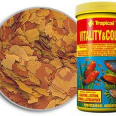 TROPICAL Vitality colour 250ml/50g