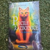 Pisicile razboinice. In inima padurii - Erin Hunter
